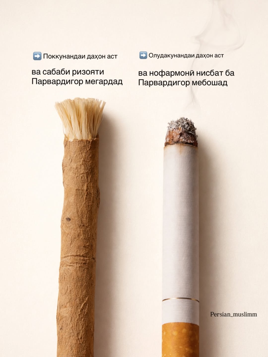 Интихоб бо туст